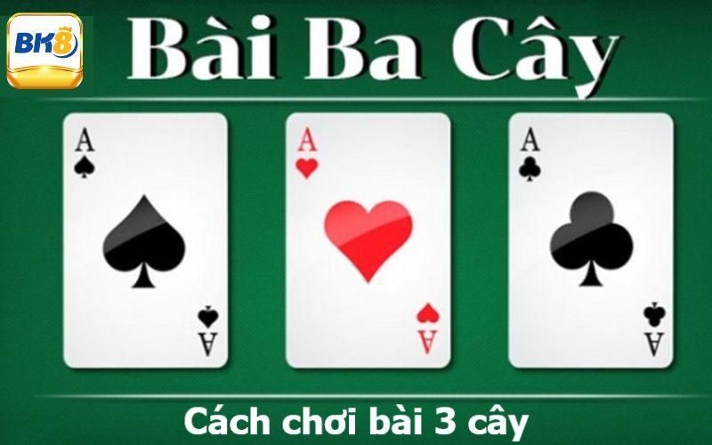 Bài 3 cây bịp là như thế nào?