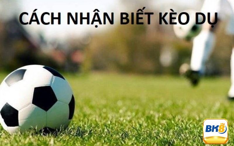 Kèo dụ là gì và cách nhận biết đơn giản nhất