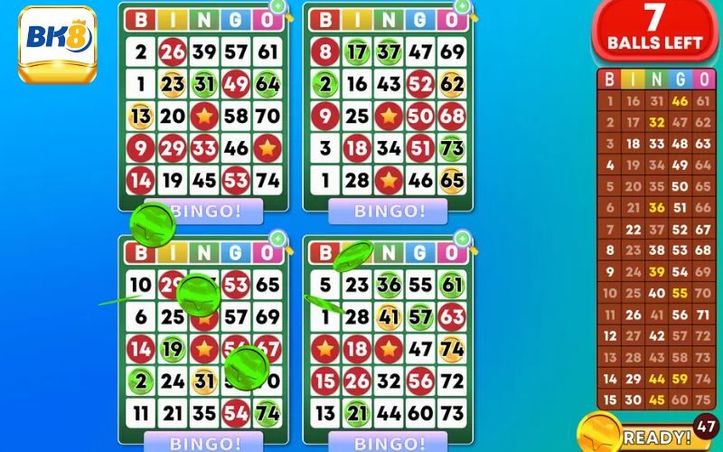 Kinh nghiệm chơi bingo là gì dễ thắng nhất từ cao thủ